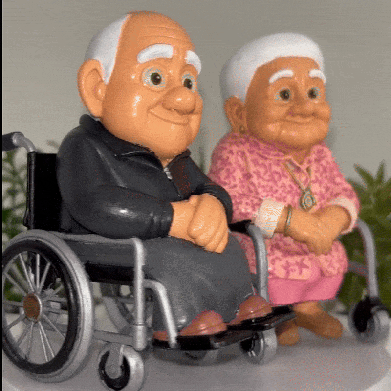 Pareja en silla de ruedas MiniPix