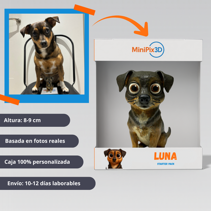 MiniPix Mascotas
