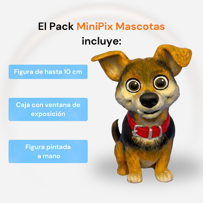 MiniPix Mascotas